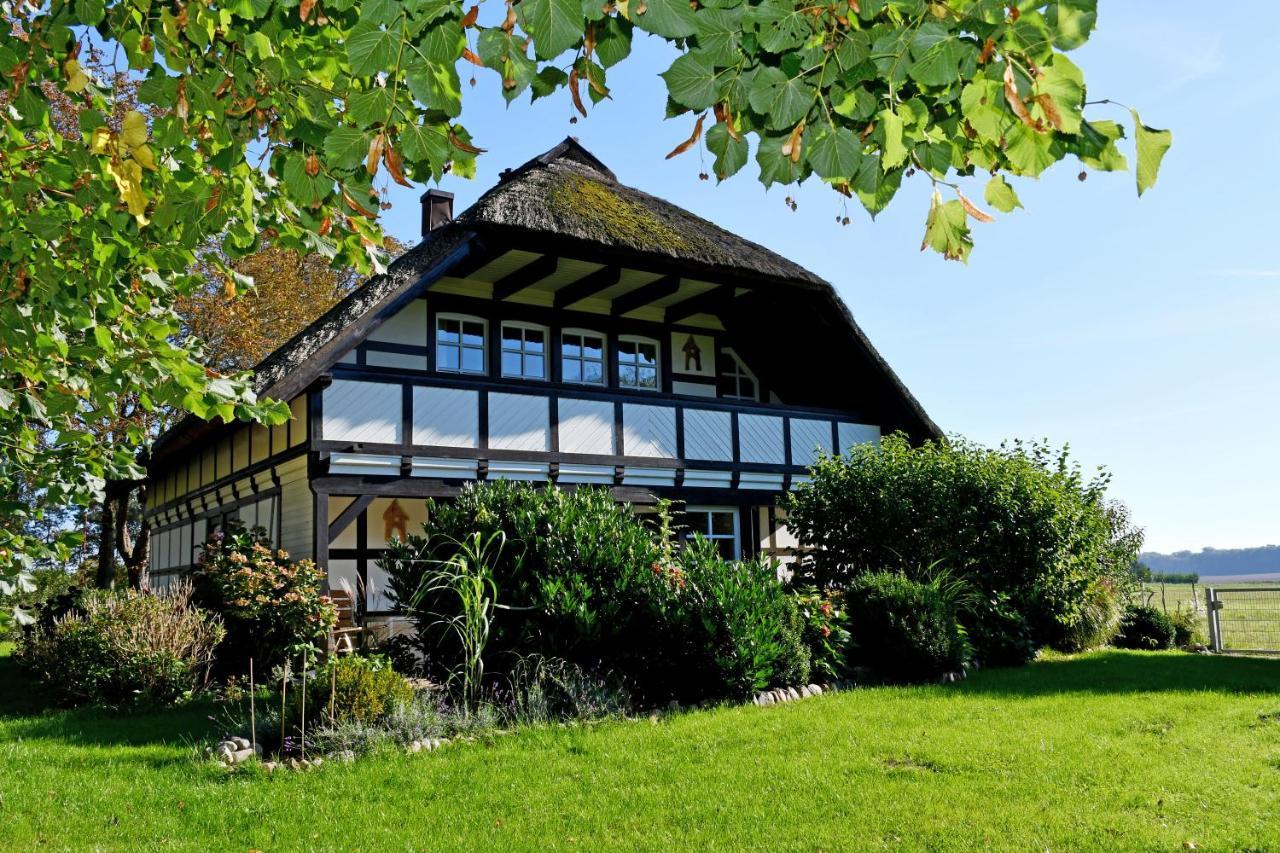 Reetdachfachwerkvilla Am Wiesengrund Bergen Auf Rugen Buitenkant foto