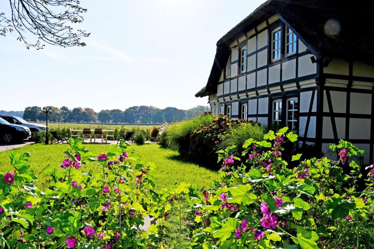 Reetdachfachwerkvilla Am Wiesengrund Bergen Auf Rugen Buitenkant foto